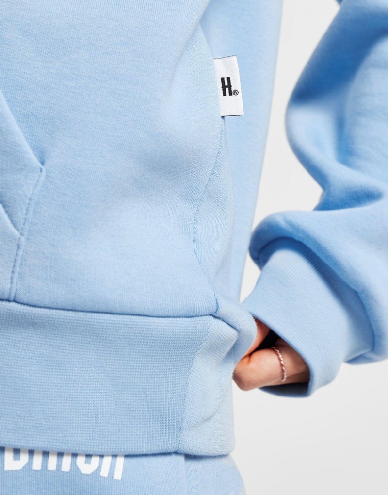 Blue Hoodrich OG Staple Hoodie Hoodies | WMPICV-725