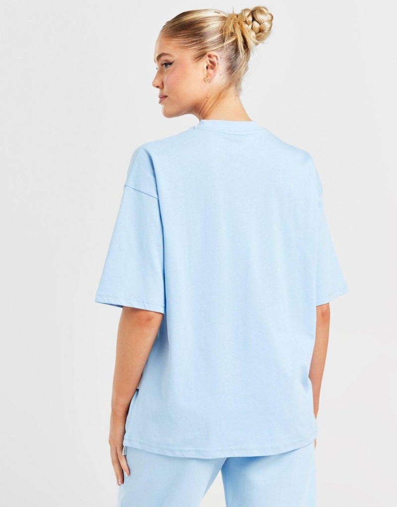 Blue Hoodrich Staple Boyfriend T-Shirt T-shirts | DHCFGO-563